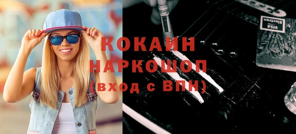 индика Дмитров