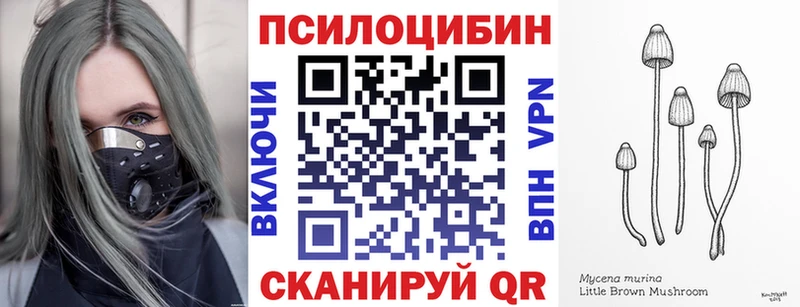 купить наркоту  Суворов  Галлюциногенные грибы мицелий 